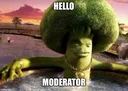 hello_mod hello_mod