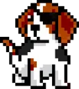 googlethepiratedog