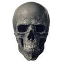 skull