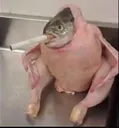 Fish_Cigarette