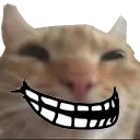:cattroll: :cattroll:
