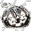2022hal_BrokenPumpkin