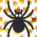 2022hal_SpookySpider 2022hal_SpookySpider