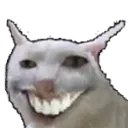 CursedCat