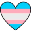 MBHtransgender