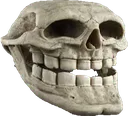 skulltroll