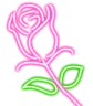 iineonrose