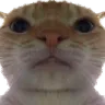 STARE STARE