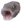 PogFish