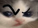 e_hehehmm