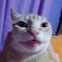goober