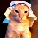 arabkitty arabkitty