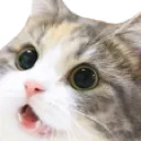 woooooooooooooooow