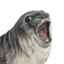 Ahhhhhh