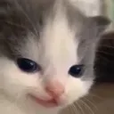 devious