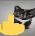 _fuckyoucat_ Discord Emoji
