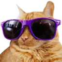CoolCat