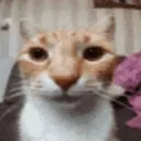 my_reaction