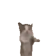 catTINY