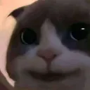 random_cat Discord Emoji