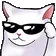 coolcat