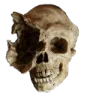 9399skull1eye