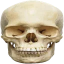 9695skullreaction