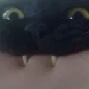 cat_kyc cat_kyc