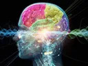 CerveauFusion
