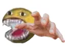 RAH