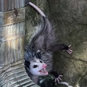 starterror starterror