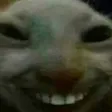 latzieMacsek