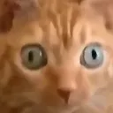 What