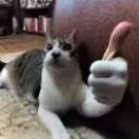 Yuh