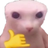 catswag