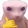 :catswag: