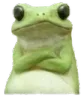 crossed_frog