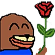 nymnFlower