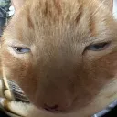 silly