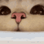 KU_CatSniff Discord emoji