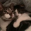 y_hugs