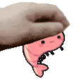 Shrimppat Discord Emoji