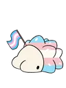 snomsaystransrights