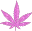 weed82