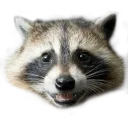 Happyface Happyface Discord Emoji