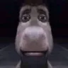 donkey