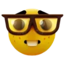 NERD NERD