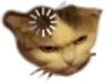 catThink