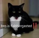 flabbergasted