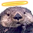 JoeyInnocent